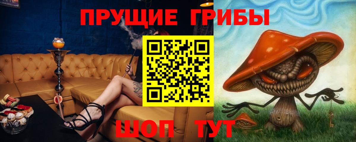 Баксан  Галлюциногенные грибы GOLDEN TEACHER  Вход с VPN 